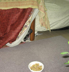 1207_1.jpg