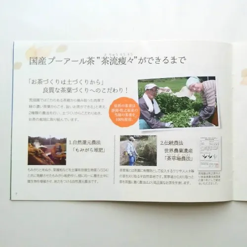 荒畑園　国産プーアール茶ができるまで