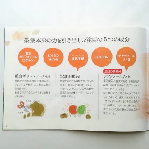 荒畑園　国産プーアール茶の5つの成分