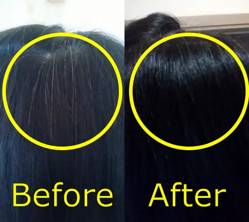 ウエラトーン2+1　7GMで染める前後_2