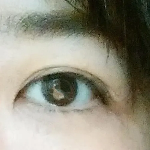 大人のルドゥーブルを使ってみて