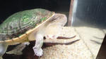 2010041411020000.jpg