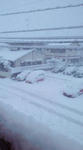 20120202.jpg