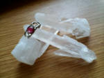 20100718_3.jpg