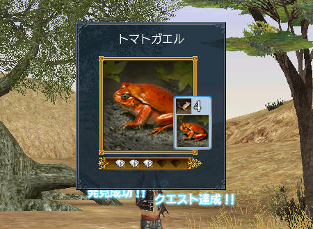 527b7702.jpeg