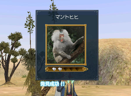 355f5c3c.jpeg