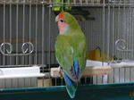 e322d350.jpg