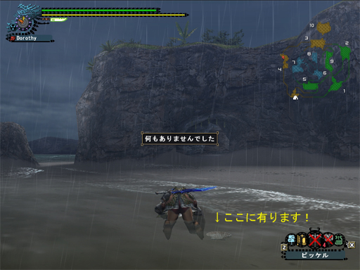 うぉぉぉん、貝殻１個だけだった（涙