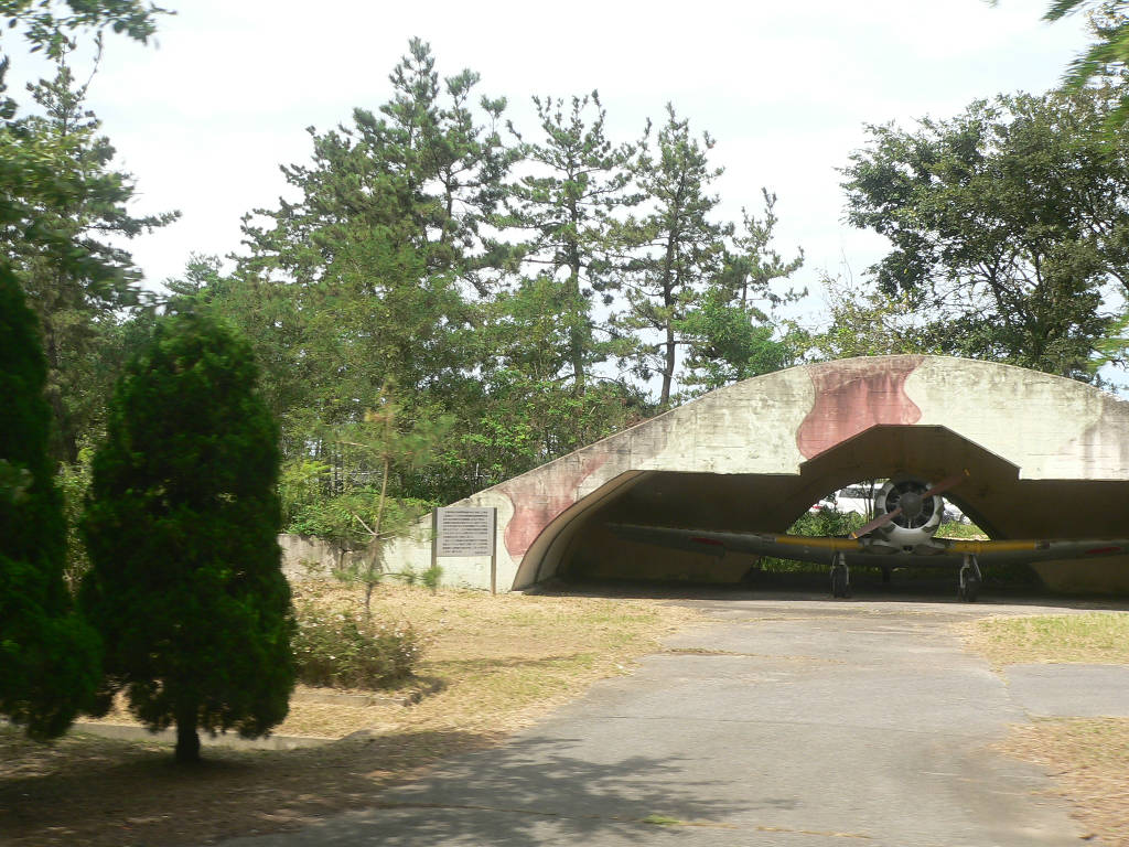 やっと撮れた（涙