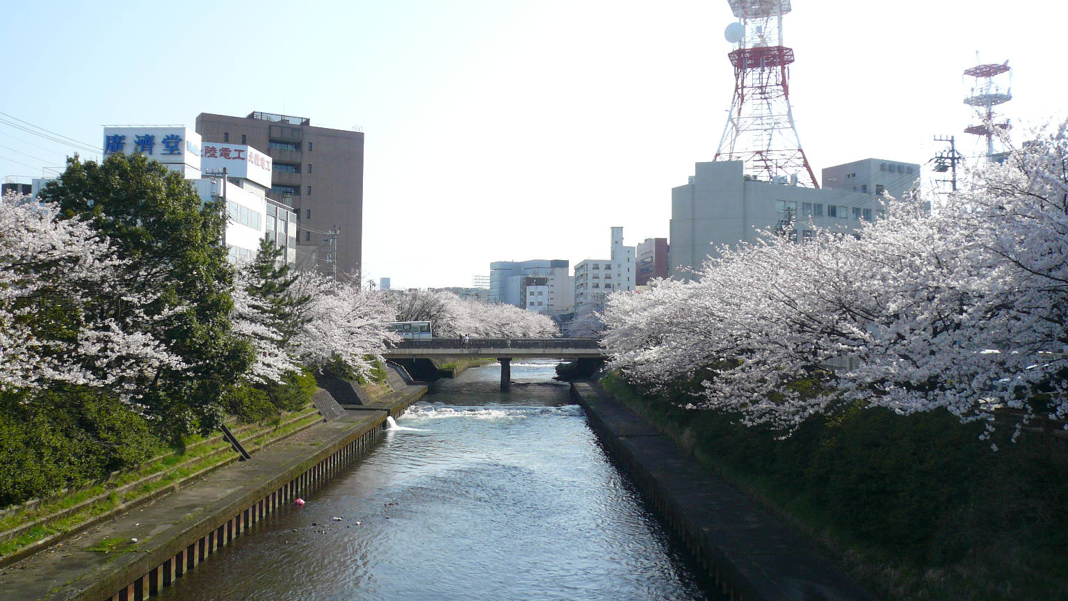 松川･･･メジャーな場所よりかなり下流ですが