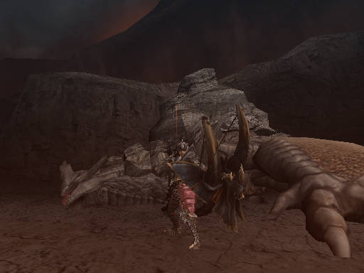 甲殻２個出たー♪