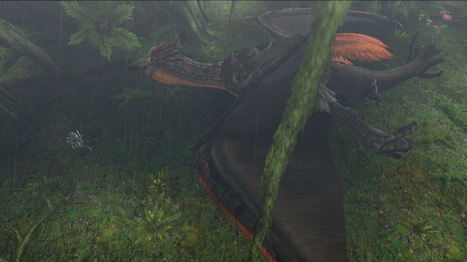 キショウ種金冠更新