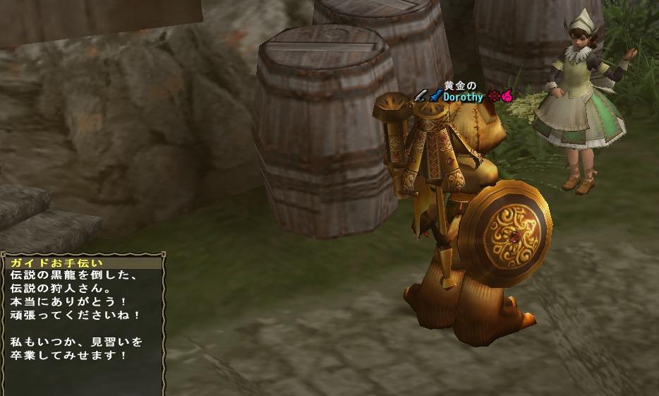 ギルド娘は・・・