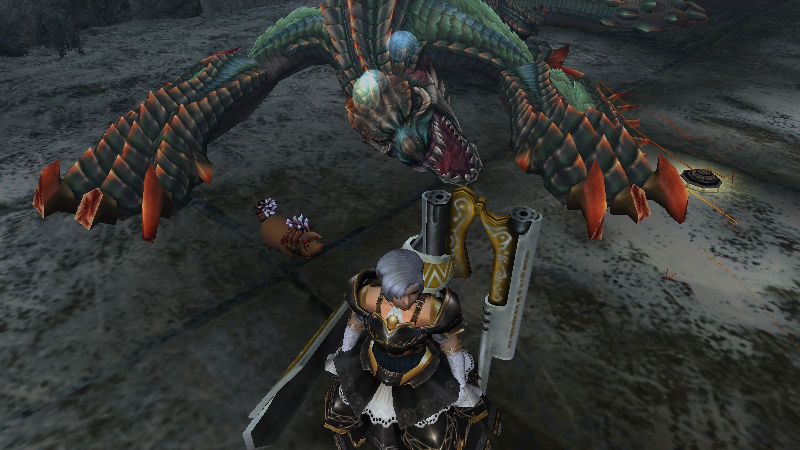 デュラ部位破壊（頭・爪）