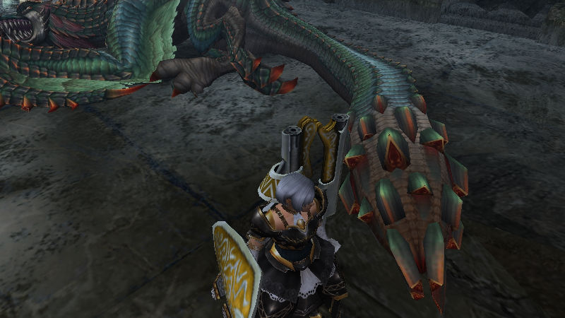 デュラ部位破壊（尻尾）