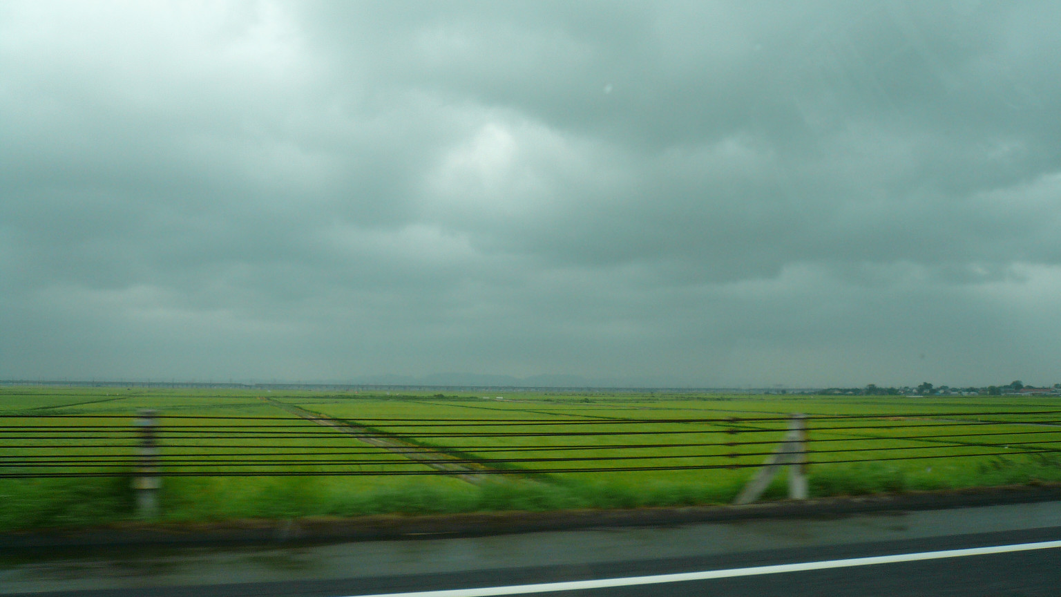 見渡す限り水田