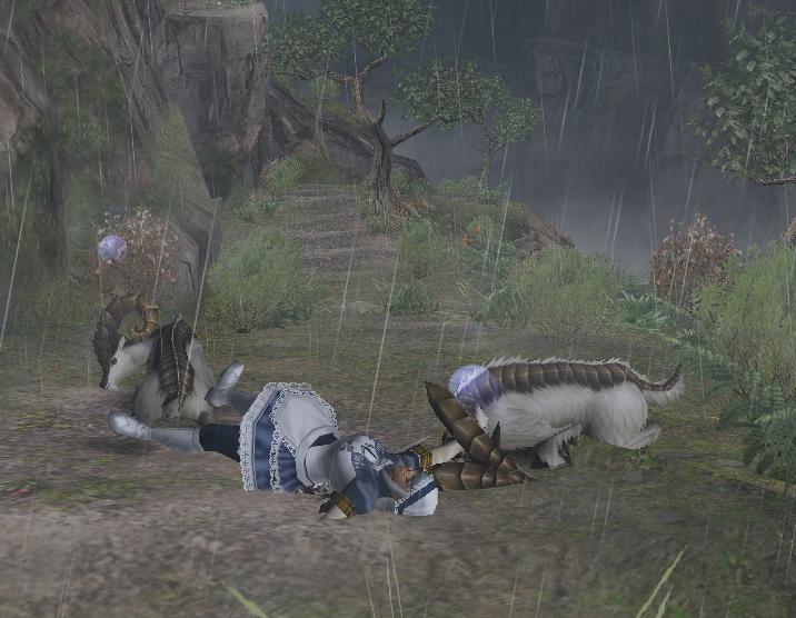 エルペとおねむ