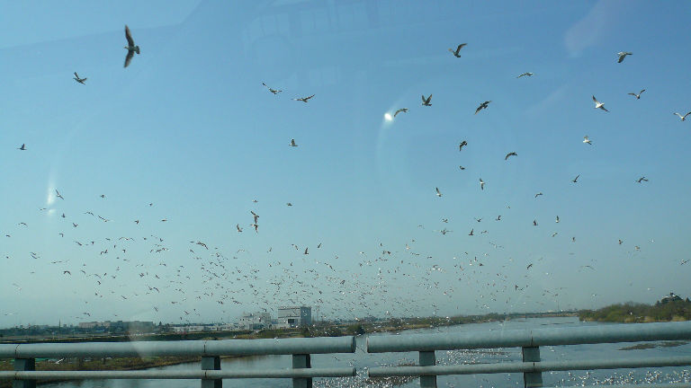 ヒッチコックの映画ではない