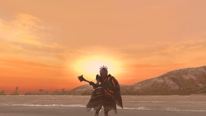 密林エリア10より