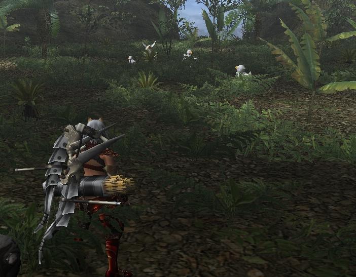 グークエサクエ密林