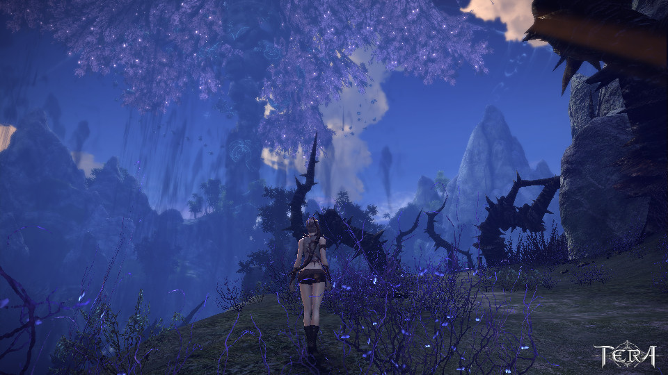 漆黒の森だっけか