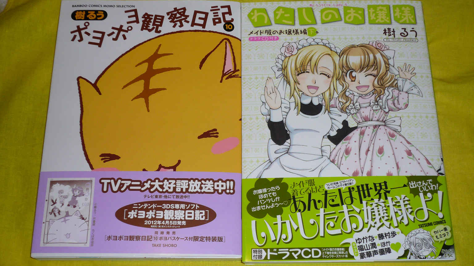 わたしのお嬢様・メイド服のお嬢様編下/ポヨポヨ観察日記10