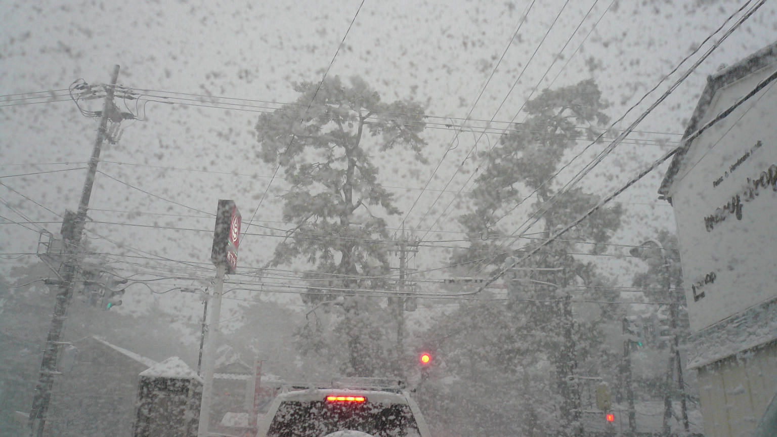 2月も半ばなのに