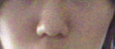 NEC_0004.jpg