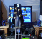 20090217.jpg