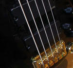 20090218.jpg