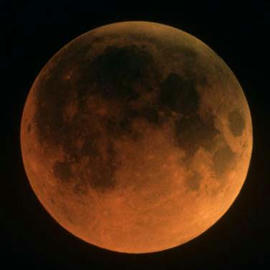 bd949318.jpg