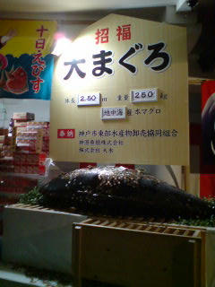 080110_2329~01.jpg