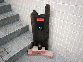 d3c7d383.jpg