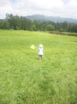 SH380026.JPG