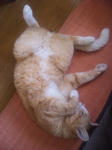 SH380090.JPG