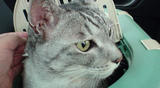 20080510113002.jpg