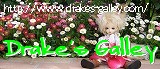 Drake's Galleyはこちら
