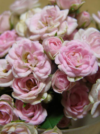 ピンクになってるし&hellip;&hellip;