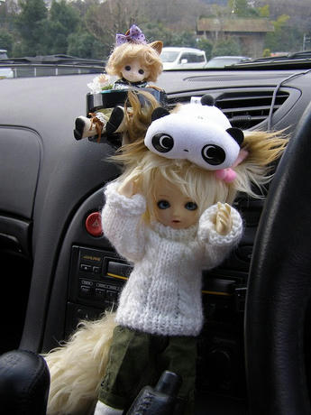 お買い物に付いてきた！