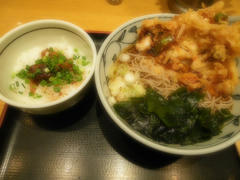 171196f3.jpeg