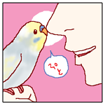 お気に入り