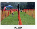 img138.jpg