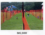 img140.jpg