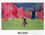 img141.jpg