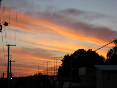 IMG_00420000.jpg
