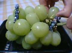 PIC_0010.JPG