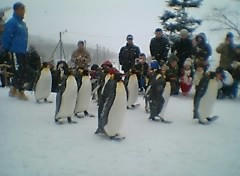 PIC_0024.JPG