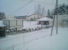 PIC_0002589.JPG