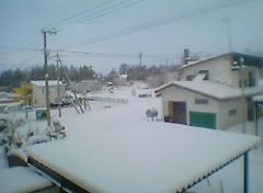 PIC_0003269.JPG