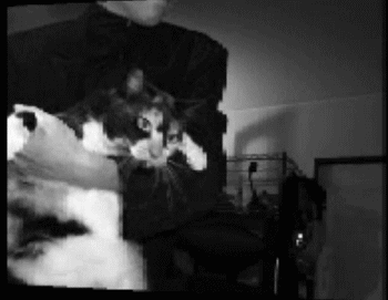 f9bcbb77.gif